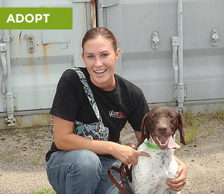 Animal Shelter and Pet Adoptions Connecticut | Protectors of Animals