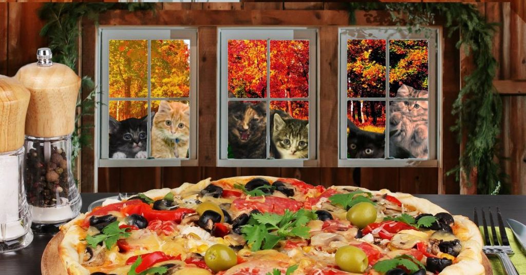 Protectors of Animals Flat Bread Company Fundraiser Night Protectors of Animals