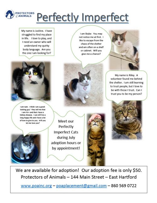 Perfectly Imperfect Cat Adoption Promotion - Protectors of Animals